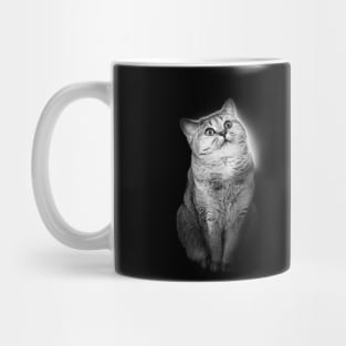 Aww Cute Kitty Enlightenment Mug